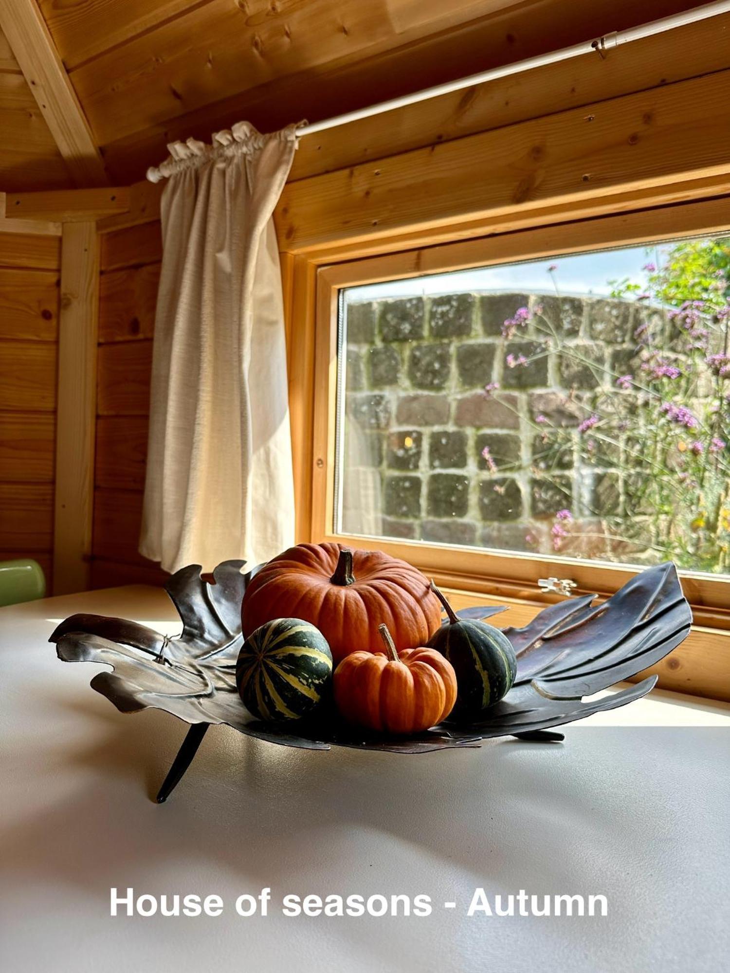 B&B Cosy Garden Alblasserdam Quarto foto